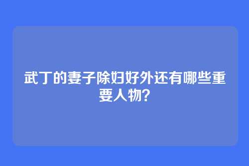 武丁的妻子除妇好外还有哪些重要人物？