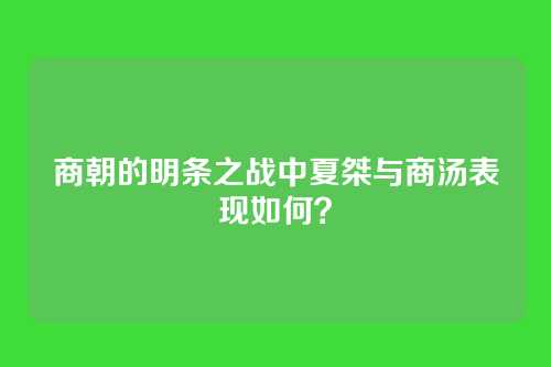 商朝的明条之战中夏桀与商汤表现如何？