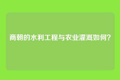 商朝的水利工程与农业灌溉如何？