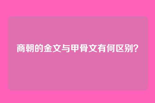 商朝的金文与甲骨文有何区别？