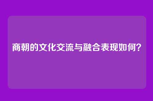 商朝的文化交流与融合表现如何？