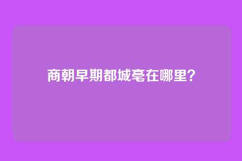 商朝早期都城亳在哪里?