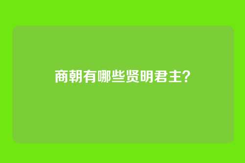 商朝有哪些贤明君主？