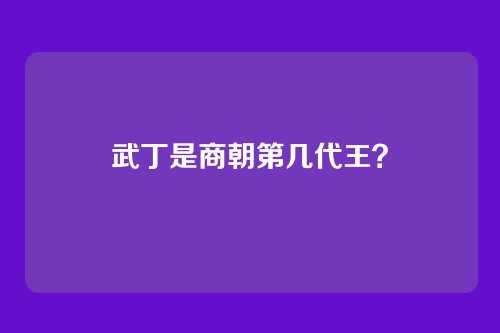 武丁是商朝第几代王?