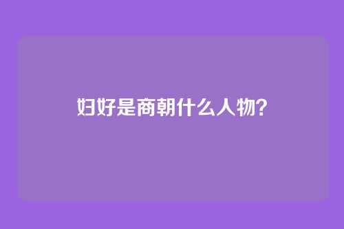 妇好是商朝什么人物?