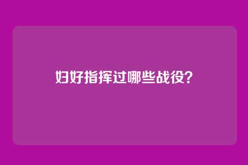 妇好指挥过哪些战役？