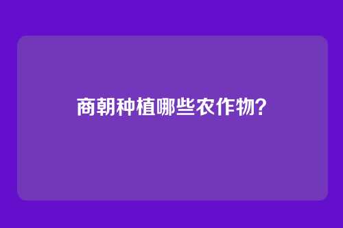 商朝种植哪些农作物?