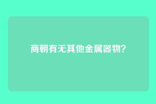 商朝有无其他金属器物?