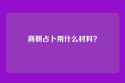 商朝占卜用什么材料?