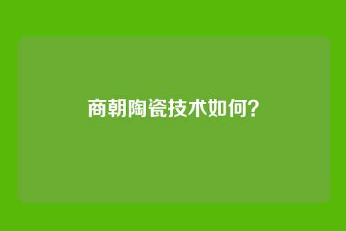 商朝陶瓷技术如何?