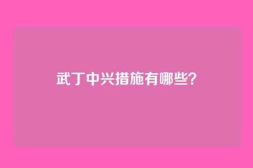 武丁中兴措施有哪些？