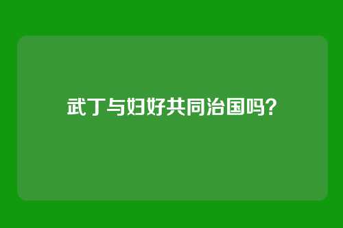武丁与妇好共同治国吗?