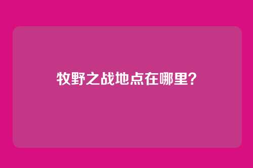 牧野之战地点在哪里?
