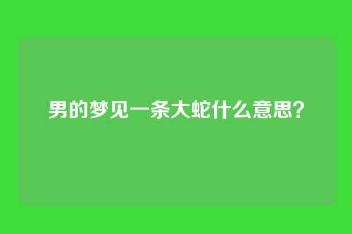 男的梦见一条大蛇什么意思?