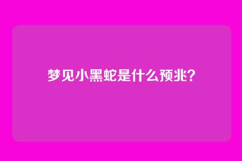 梦见小黑蛇是什么预兆?