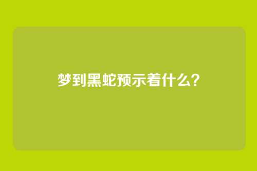 梦到黑蛇预示着什么?