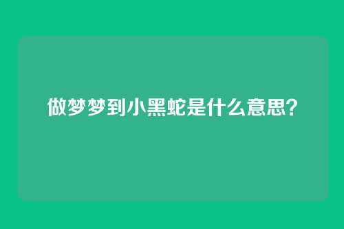 做梦梦到小黑蛇是什么意思?