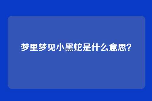 梦里梦见小黑蛇是什么意思?