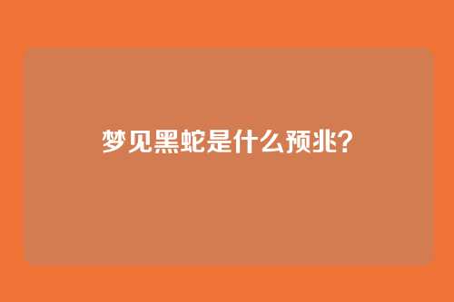 梦见黑蛇是什么预兆?