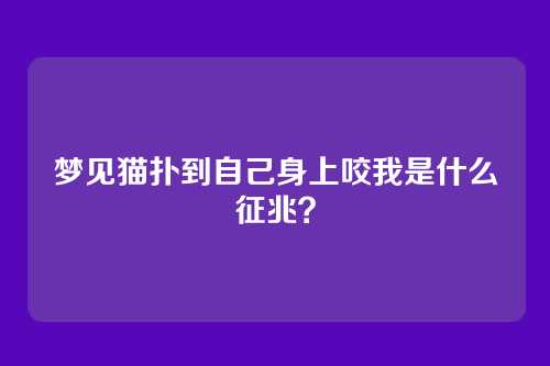 梦见猫扑到自己身上咬我是什么征兆?
