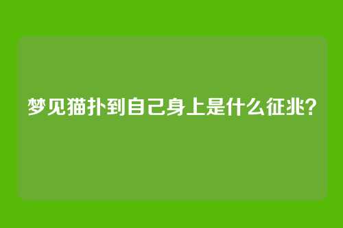 梦见猫扑到自己身上是什么征兆?