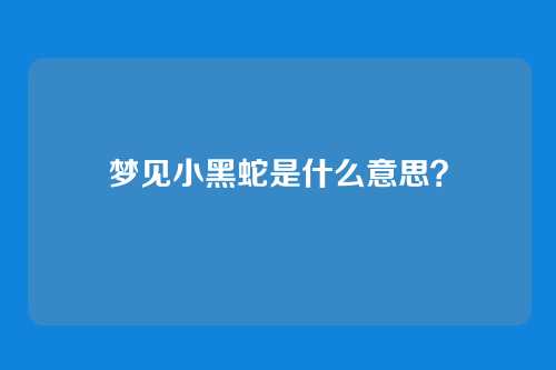 梦见小黑蛇是什么意思?