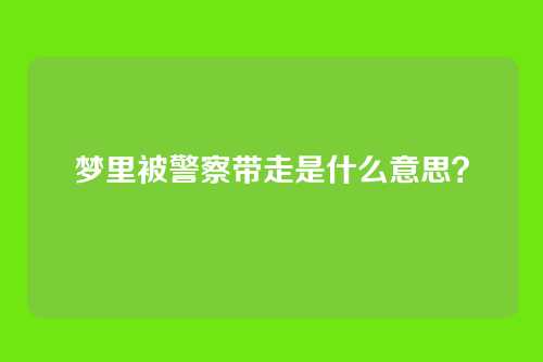 梦里被警察带走是什么意思?