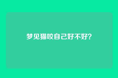 梦见猫咬自己好不好?