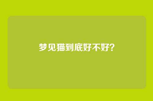 梦见猫到底好不好?