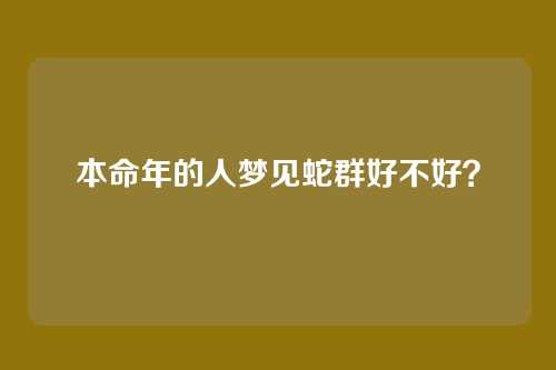 本命年的人梦见蛇群好不好?