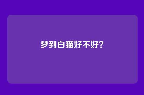 梦到白猫好不好?