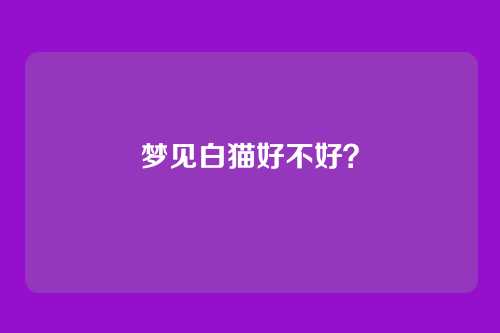 梦见白猫好不好?